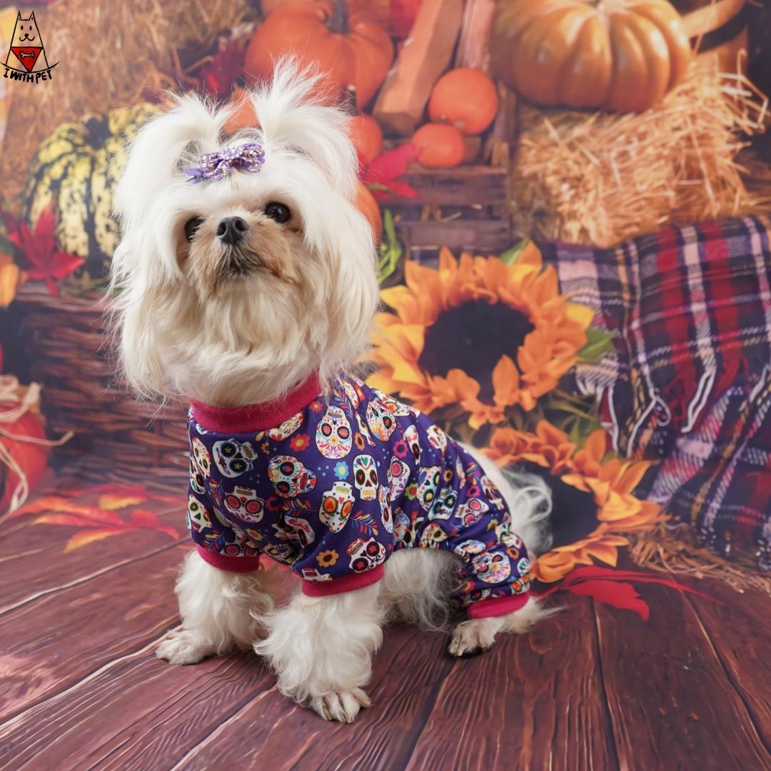 Halloween Pajamas